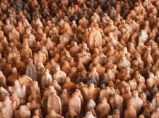 Antony Gormley&rsquo;s terracotta army at Earth: Art of a changing world
